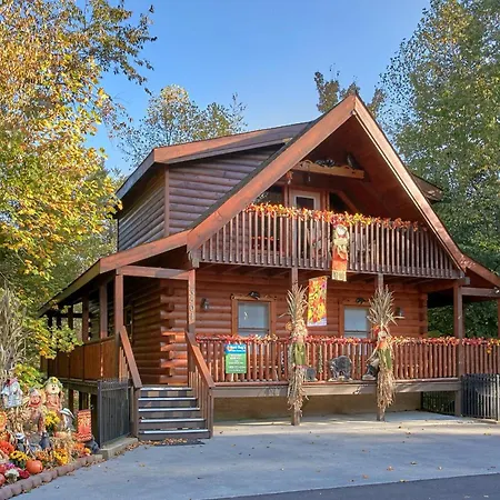 Boulder Bear Lodge #355